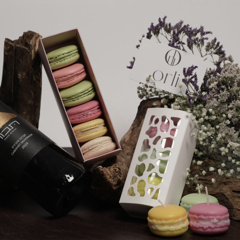 Capture d’écran 2026-02-24 à 12.18.40